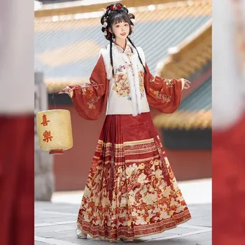 Дамски зимни пола Hanfu в стил Мин, подобрена пола с конете муцуна, традиционен китайски коледен костюм